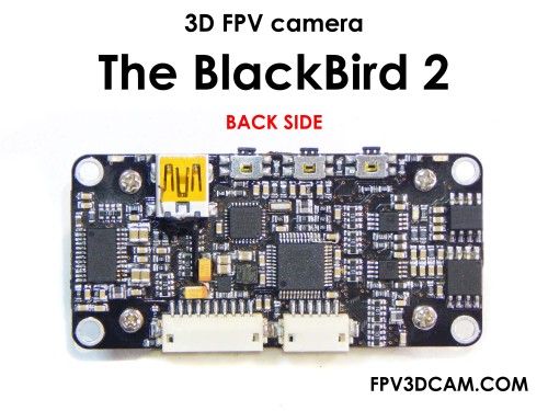 3dfpvblackbird2fotobackside1